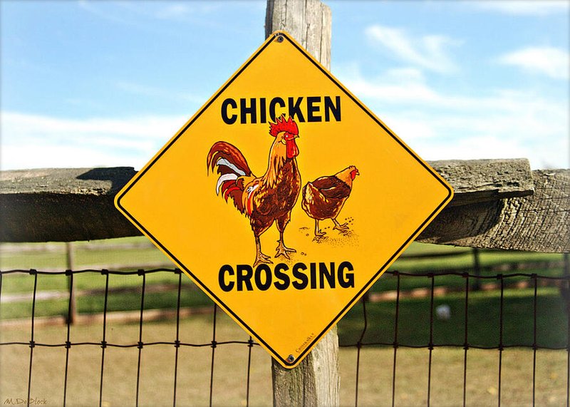 Image: Descubre el Exclusivo Juego de Azar de la Carretera de Pollo en España